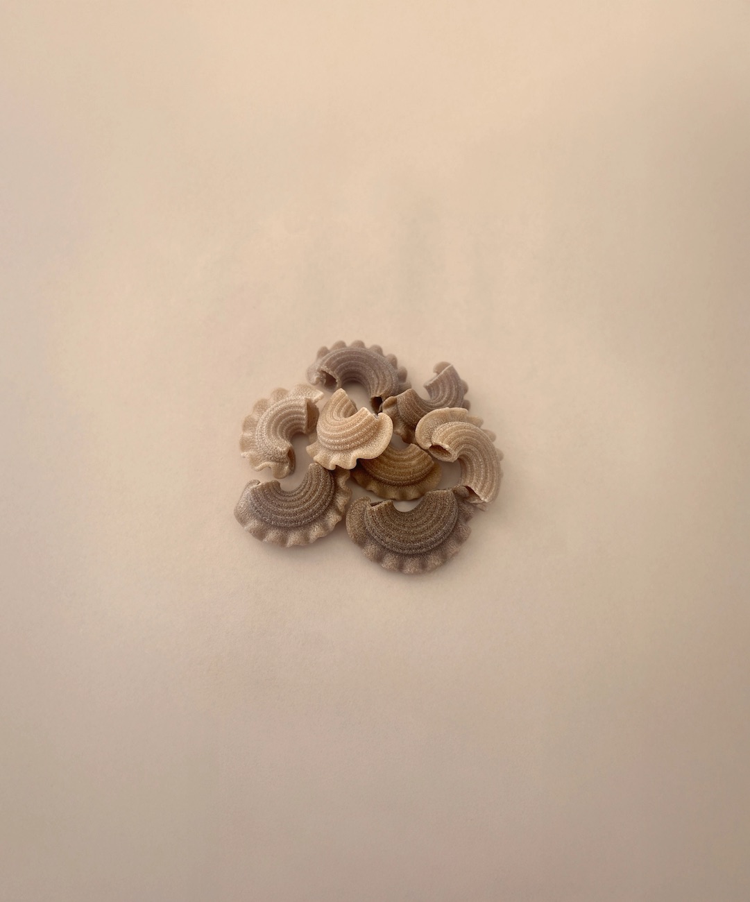 Pasta Creste - Haolderkamp